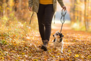 shutterstock_705750727
